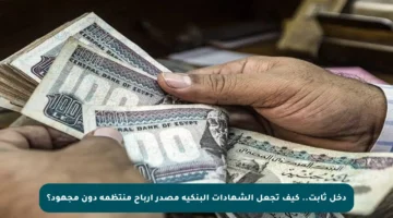دخل ثابت.. كيف تجعل الشهادات البنكية مصدر أرباح منتظمة دون مجهود؟